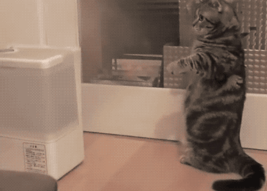 640 (4).gif 640 (4).gif