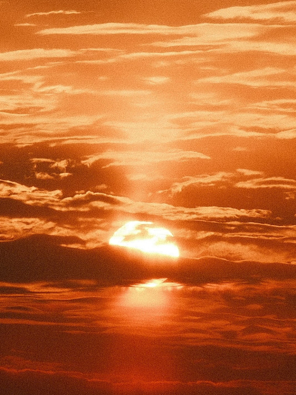 春日限定·定格时光.png 春日限定·定格时光.png