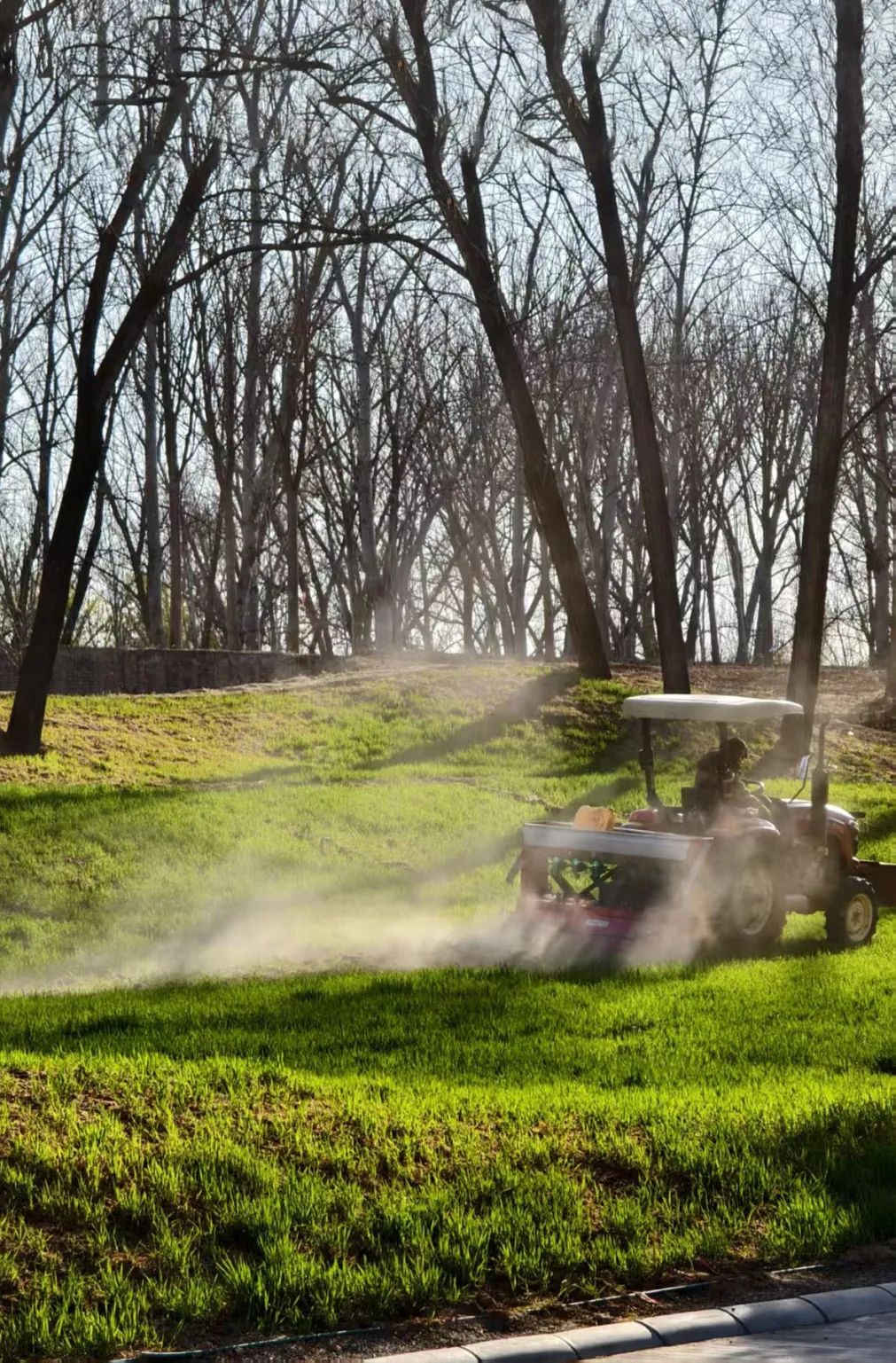 芒种.jpg 芒种.jpg